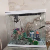 آکواریوم دلساK500