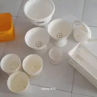 تعدادی گلدان پلاستیکی