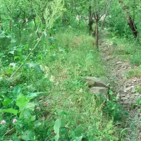 جویای کار هستم