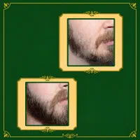 پروژه ریش پر پشت از اینجا شروع میشه