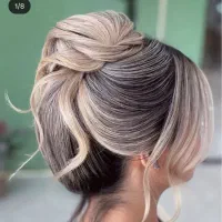 نیازمند مدل شنیون