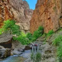 طبیعت گردی