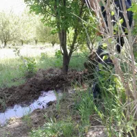 کارگر داریم برای کار کشاورزی وباغ