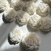 شمع