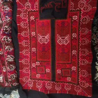 زیاستین