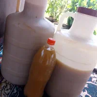 آبغوره تازه