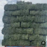 یونجه خشک و درجه یک
