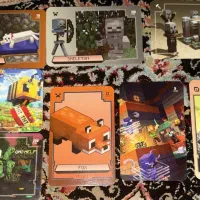 کارت ماینکرفت