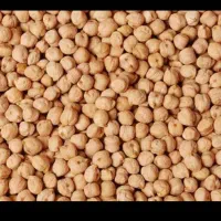 نخود ریز چگنی