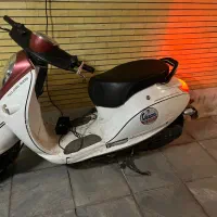 موتور برقی حرفه ای