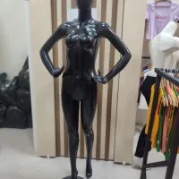 مانکن زنانه، مانکن پا، رگال دایره ای