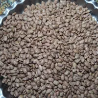 لوبیا|خوردنی و آشامیدنی|مشهد, شهید جنگی|دیوار