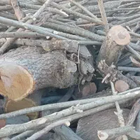 خرید چوب کنده توت و گردو
