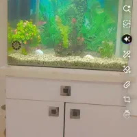 آکواریوم شیشه ای نو