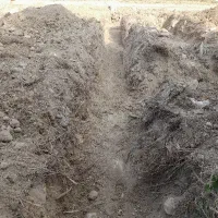 کارگر