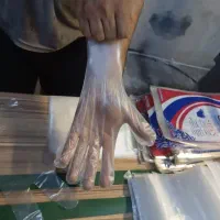پخش دستکش یکبار مصرف