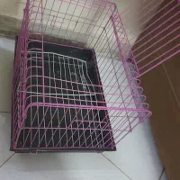 قفس خرگوش