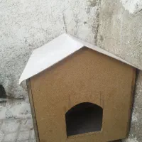 لانه گربه و سگ