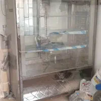 یخچال ایستاده