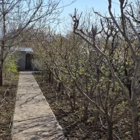 باغ-ویلا-ابسرد-فاز-یک-الهیه