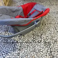 یک عدد روروئک و یک عدد کریر نوزاد