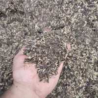 خاک مخصوص گل و گیاه طبیعی
