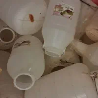 تعدادی دبه خیارشور