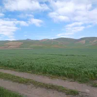 فروش-زمین-کشاورزی