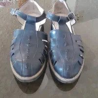 اجناس ۱۰۰هزاری