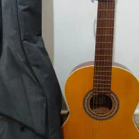 گیتار پارسی m5