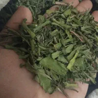لیزک