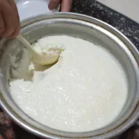 ماست گاومیش پر چرب
