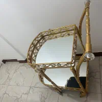 ترولی کنار سالنی