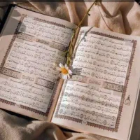 کتاب س ر کتاب