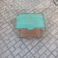 قفس