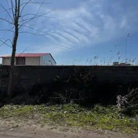 پلاک-کوچیک-ساحلی-با-سند-تک-برگ-محصور