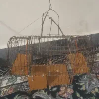 تله سهره دست باف