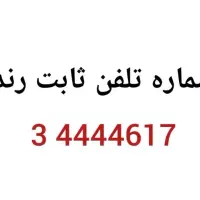 شماره تلفن ثابت رند رند