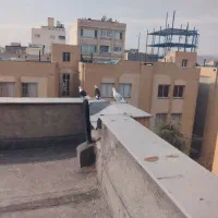 فروش کبوتر