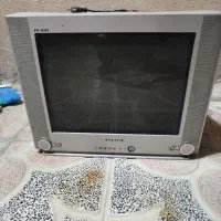 تلویزیون