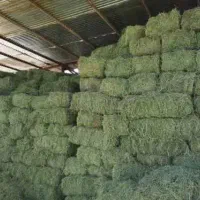 یونجه تازه و خشک  کاه کُلَش