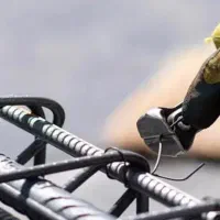 استخدام استادکار آرماتوربند