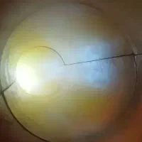 باغ ویلا استخردار