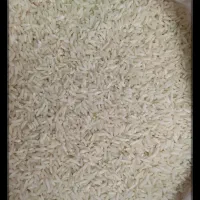 برنج سالم طارم دورود