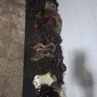 مومصنوعی اکستنشن وپروتزو...