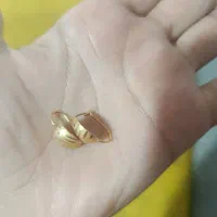 گوشوار درحدنو کارمزد مناسب