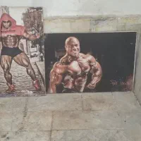 چهار عدد تابلو عکس مناسب باشگاه