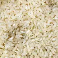 برنج چمپا اصلی بهترین برنج کامفیروزی