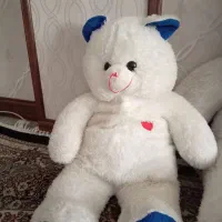 تعدادی عروسک