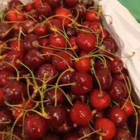 کارگر ساده آشنا به کار میوه فروشی